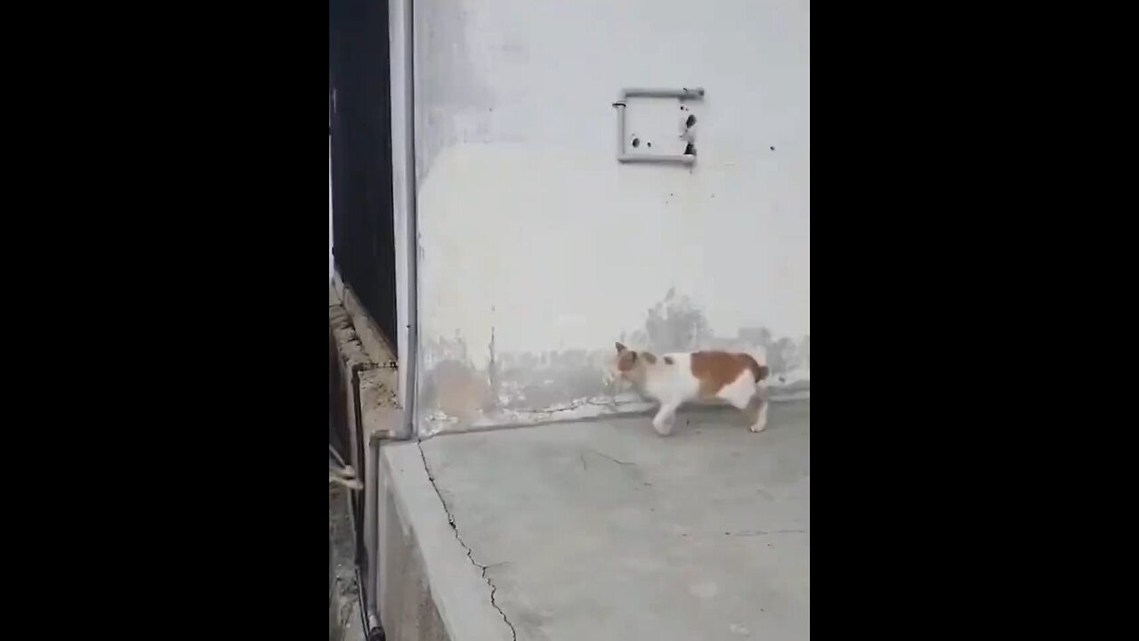 funny
