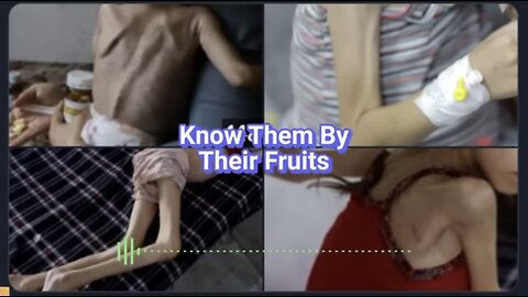 Caitlin Johnstone ~ Know Them By Their Fruits