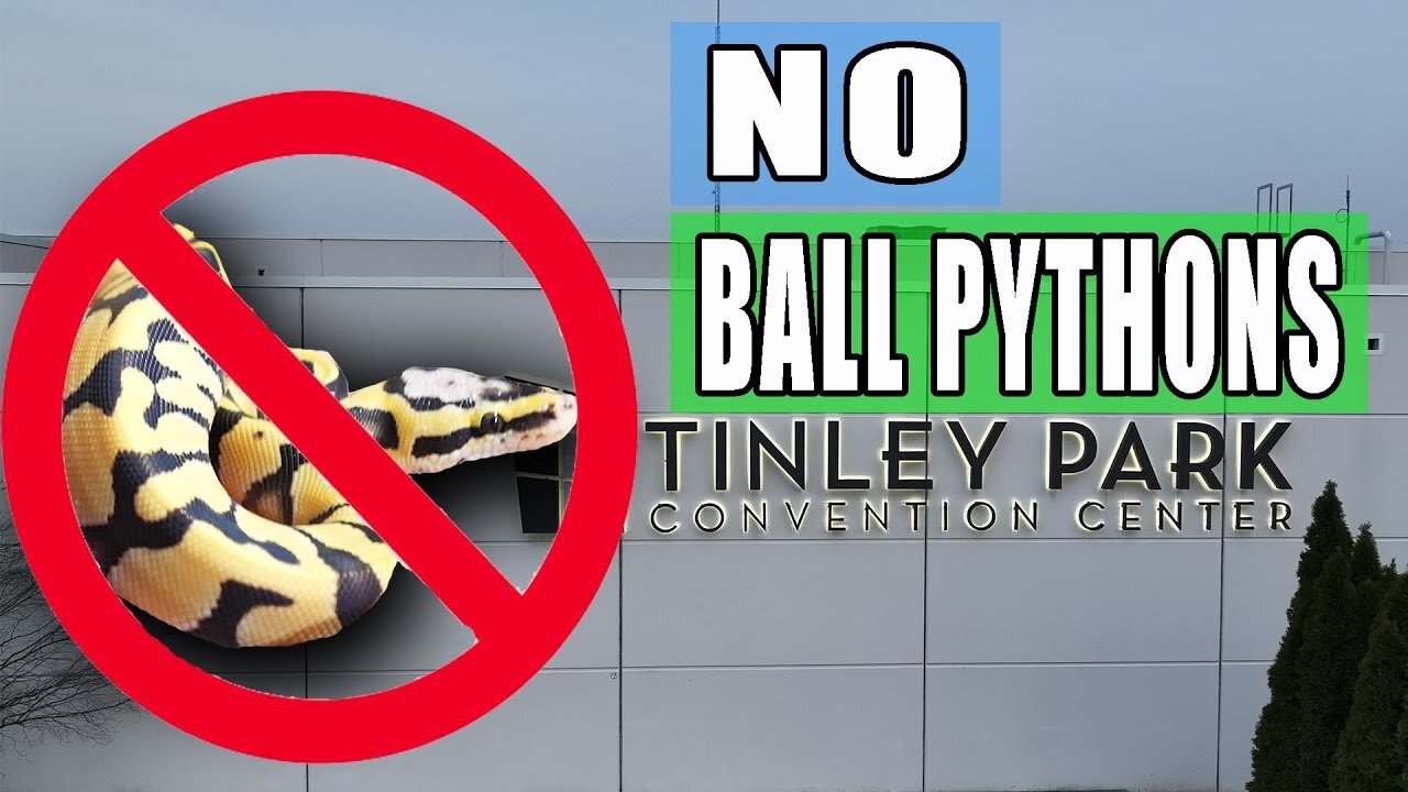 NO Ball Pythons Allowed!
