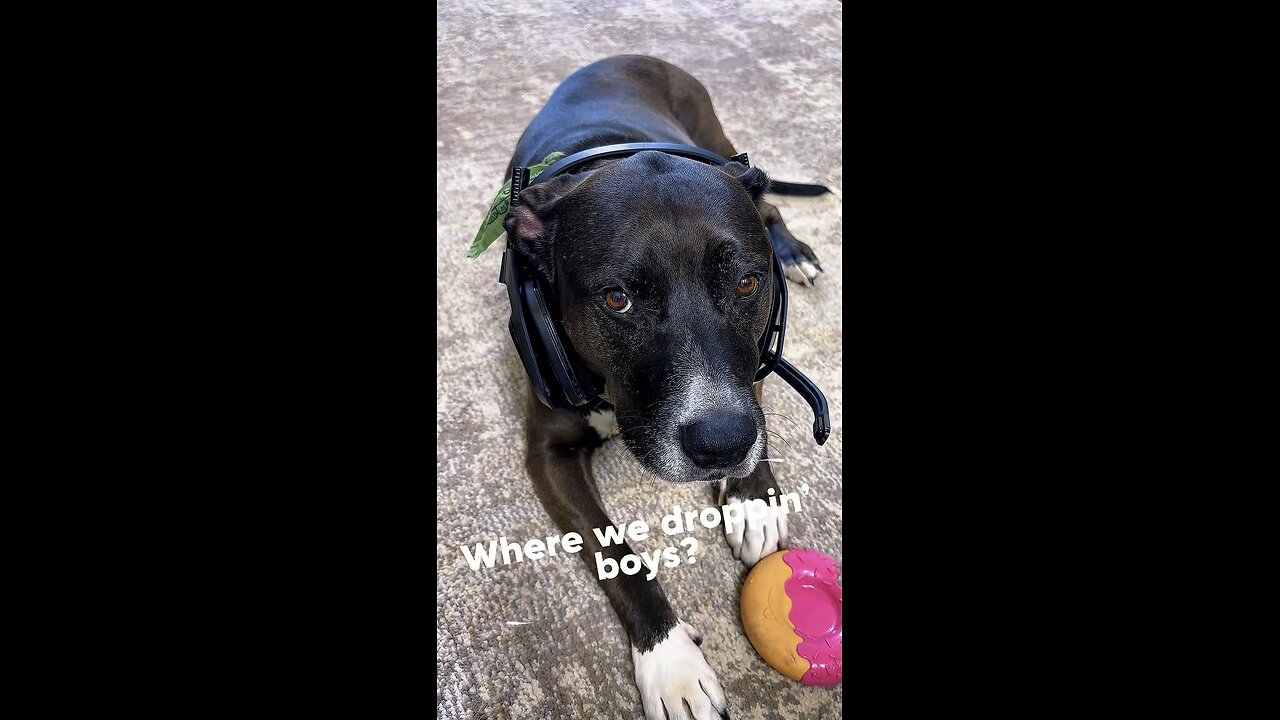 Where we droppin’ dad? 🎖️