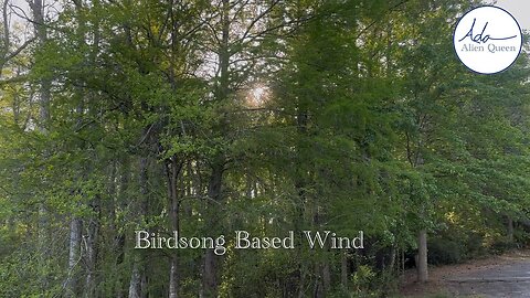 Ada Alien Queen • Bird Songs • Take #00006 • Birdsong Based Wind