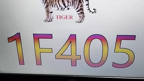 Tiger picture in MS Word with shortcut key#shortcutkeys #shortvideo #viral