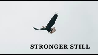 Pray USA, 11/22/2025 Stronger Still