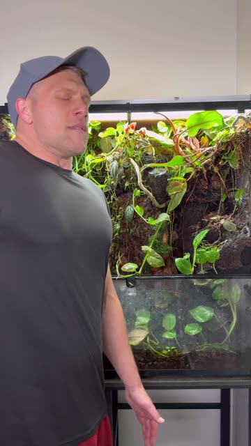 Does My Terrarium Room Smell Bad?