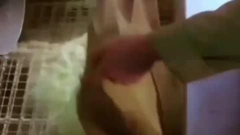Nutella is literally Devil poop