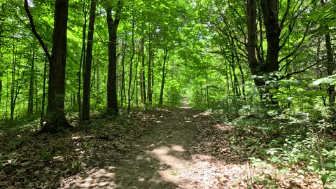 Greenbelt, walking on the path. Take a break and relax.