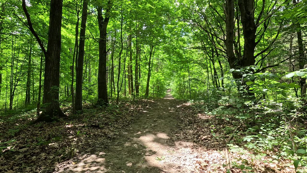 Greenbelt, walking on the path. Take a break and relax.