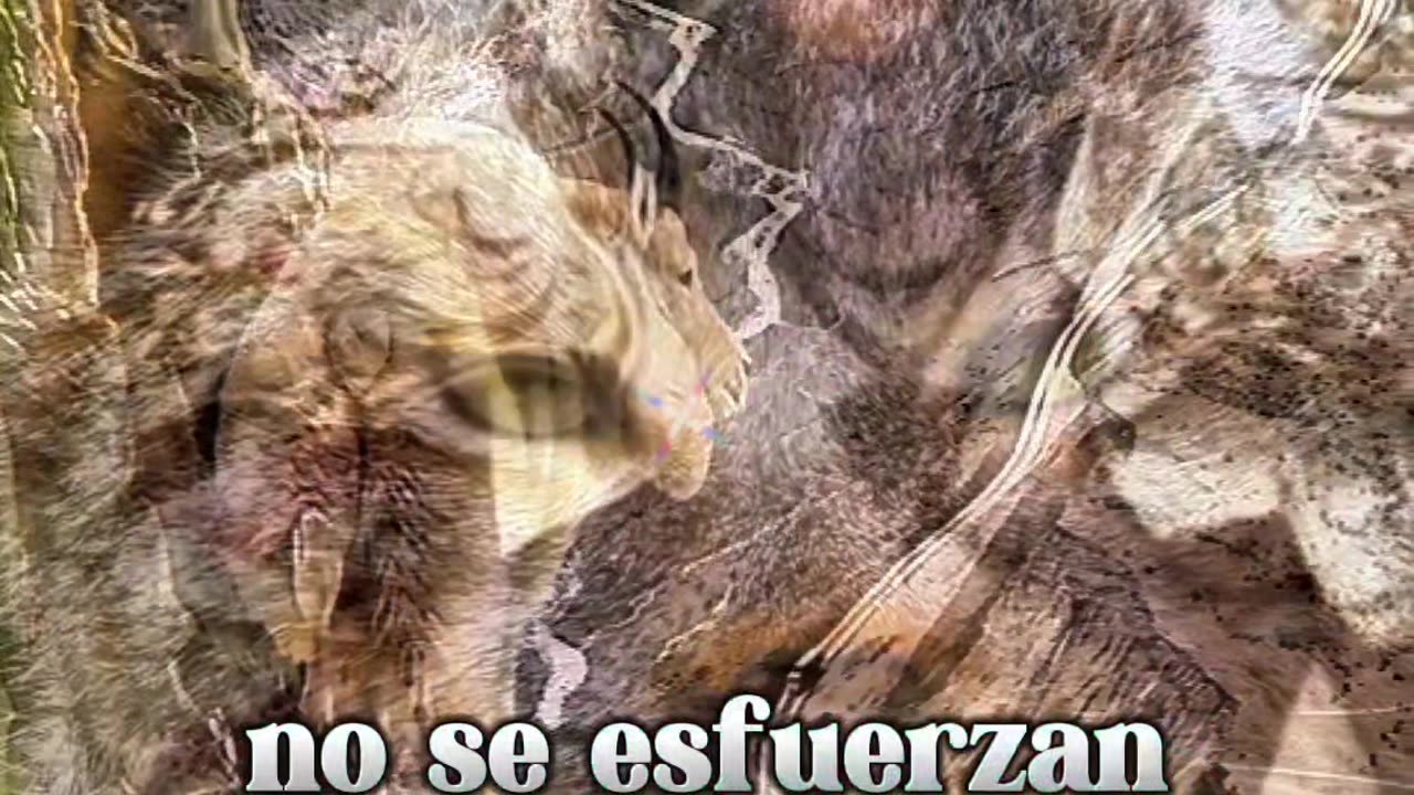 REFLEXIONES 💫 🤍 💫 🤍 💫 🤍 💫 🤍 💫