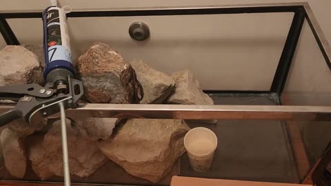 Aquarium Build Fails: 20 Gallon Tank Lessons in Persistence