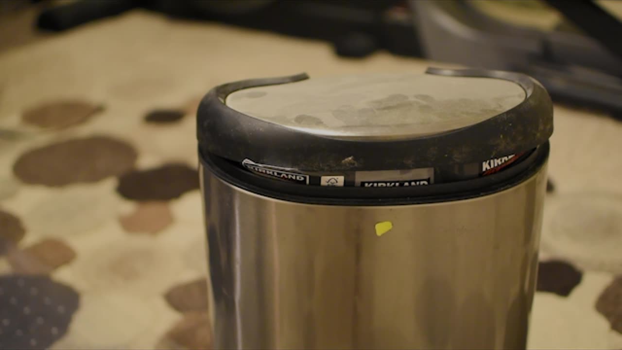 Watch Trash for 20 Minutes