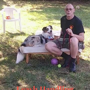Leash Handling short 1c
