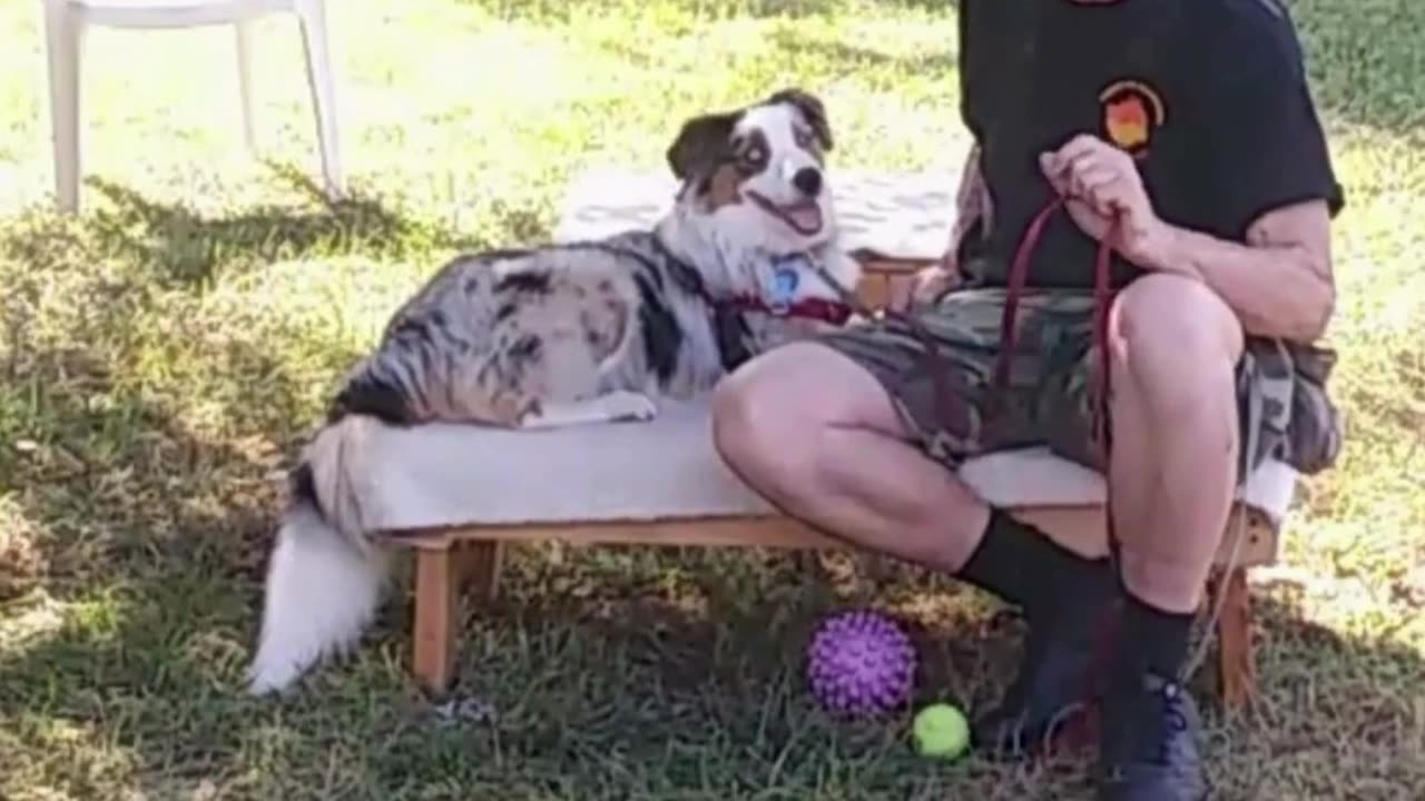 Leash Handling short 1c