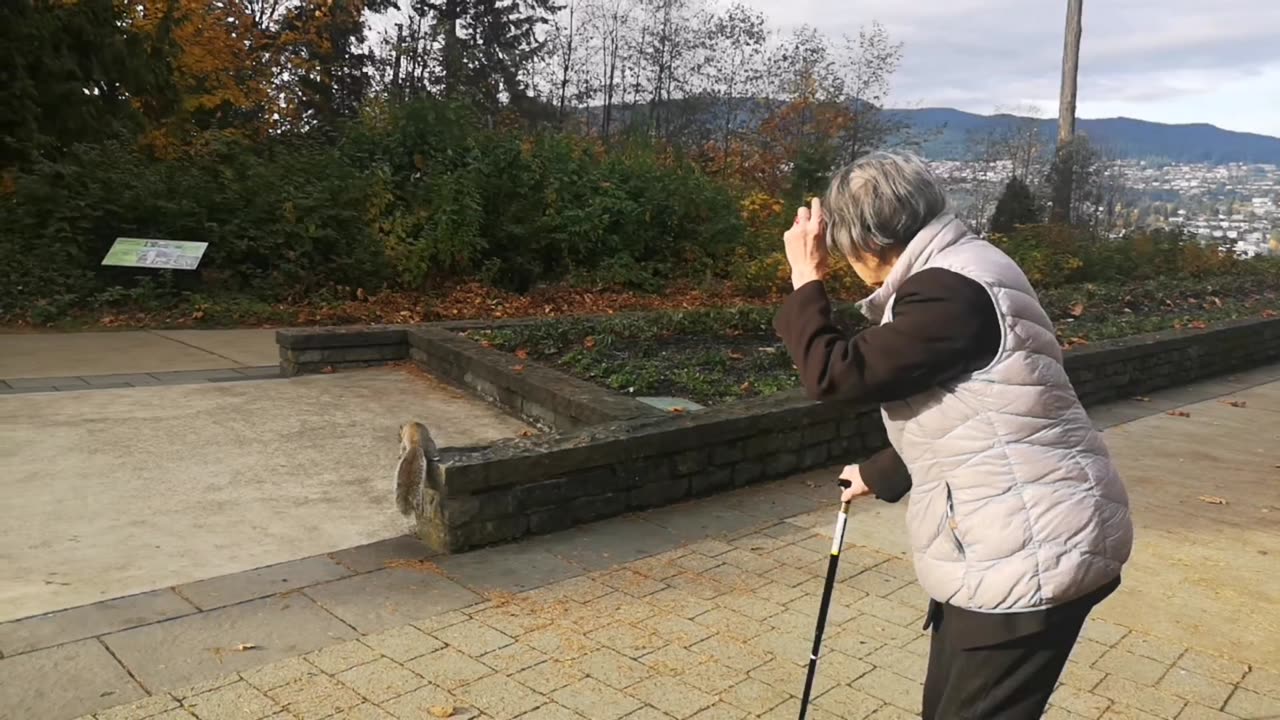 😍可爱的小🐰2025-11-4 Stanley Park🇨🇦