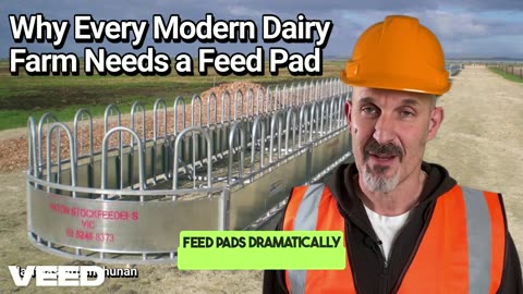 Feed Smart, Farm Better: Why Every Modern Dairy Farm Needs a Feed Pad