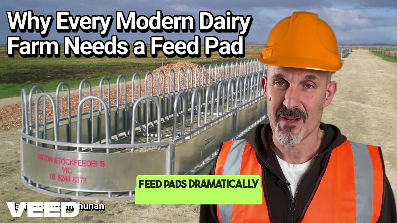 Feed Smart, Farm Better: Why Every Modern Dairy Farm Needs a Feed Pad