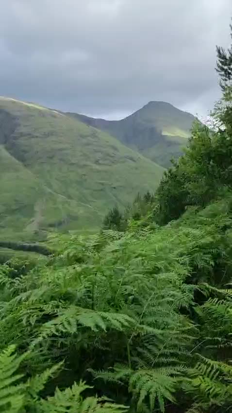 Buachaille Etive Beag: 60 Seconds Walking through ferns with mountains in the background. - June 2025