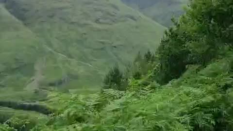 Buachaille Etive Beag: 60 Seconds Walking through ferns with mountains in the background. - June 2025