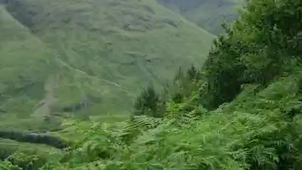 Buachaille Etive Beag: 60 Seconds Walking through ferns with mountains in the background. - June 2025
