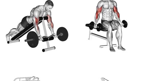 shoulder workout at gym shoulder workout with dumbbells best shoulder workout shoulder shorts