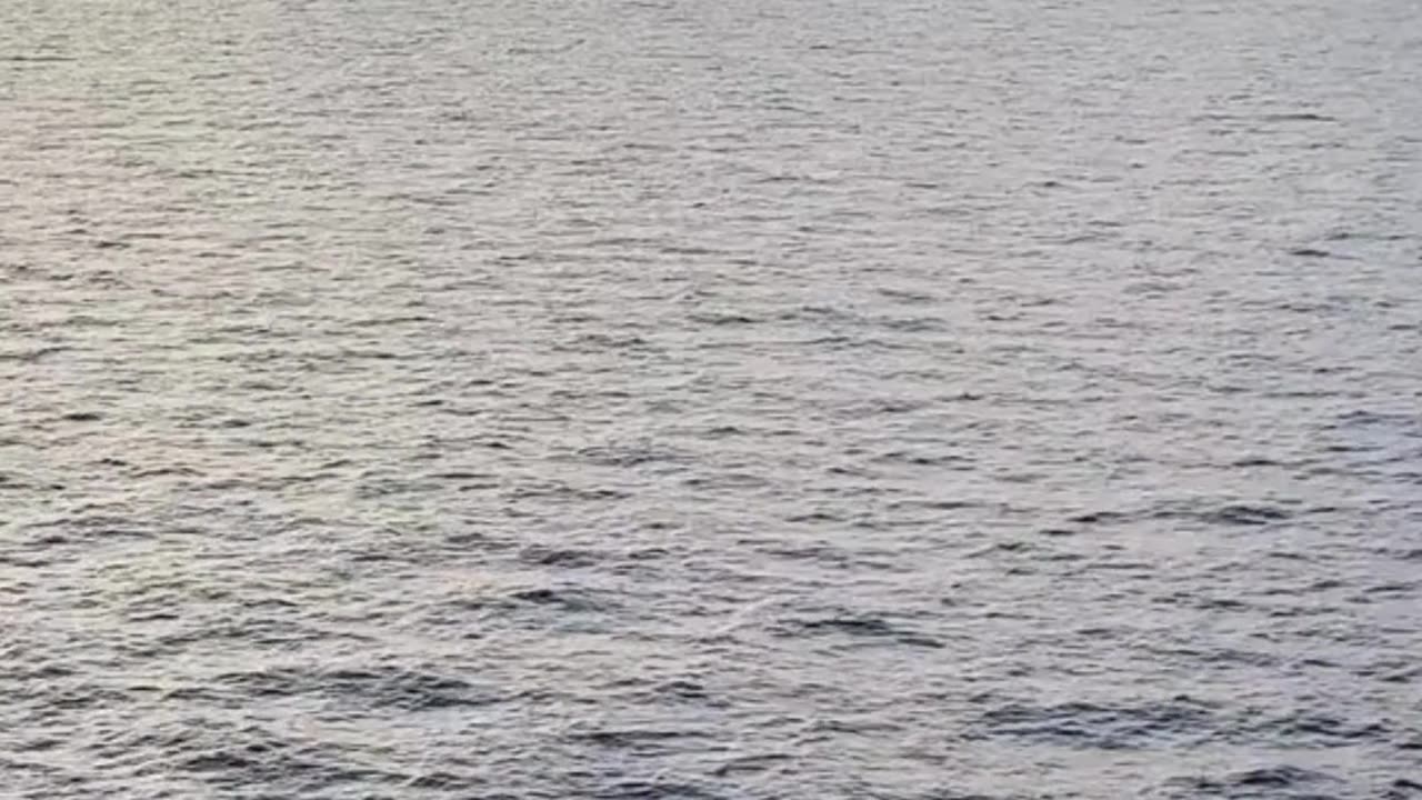 Cruise Ship on the Horizon!