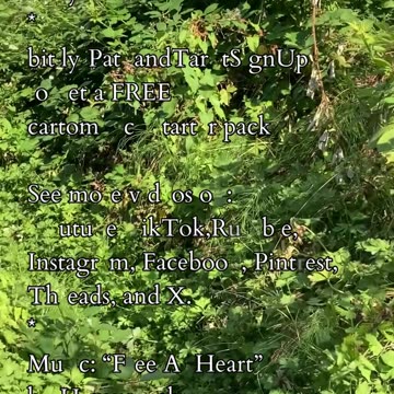 Moment of Transformation | Path and Tarot Reading