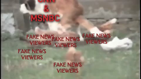 Fake News Viewers Meme