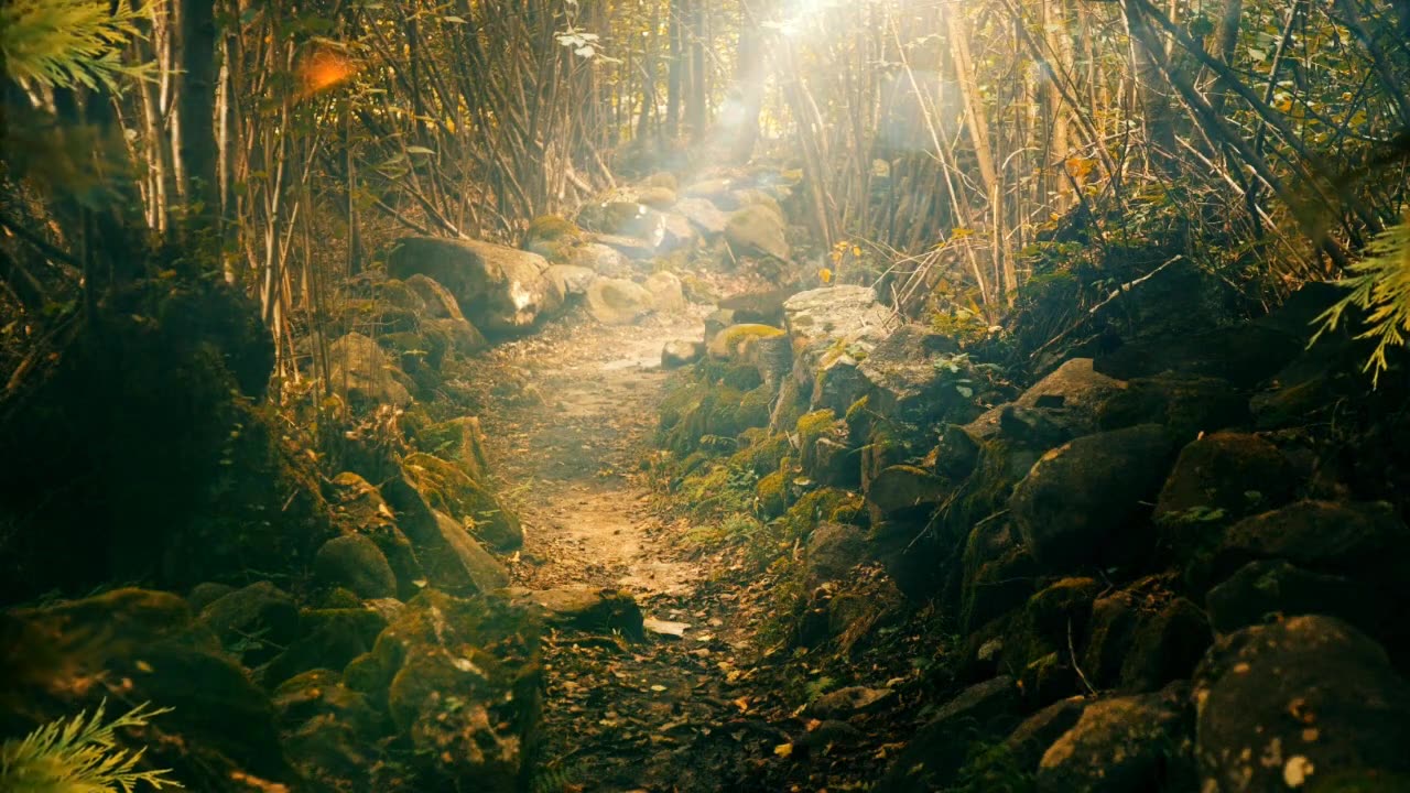 BLACK GOO THAT’S ALIVE? VANISHING BIGFOOT, PORTALS