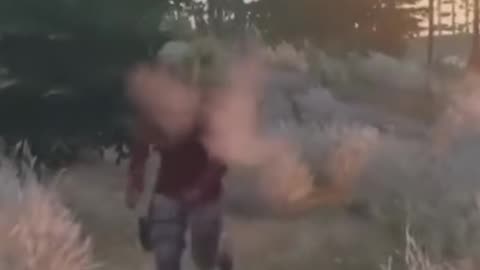 How To Apologize In DayZ