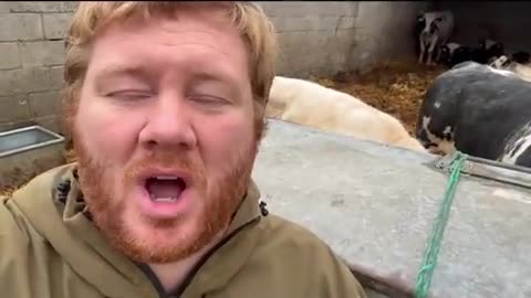 SUPERMARKETS ARE LYING ABOUT BRITISH FOOD