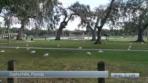 LIVE: Protesters gather outside ICE facility near Chicago