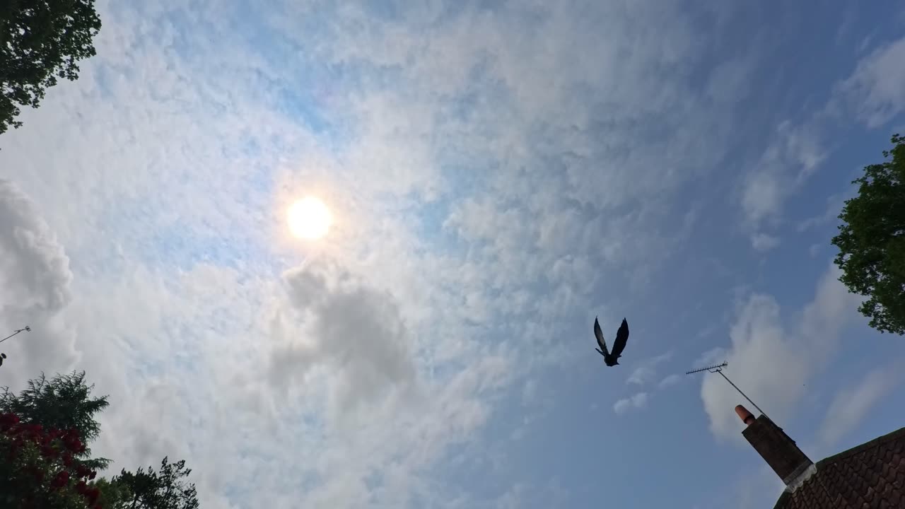 Sky Watch #620 - 4/6/2025 - 4K