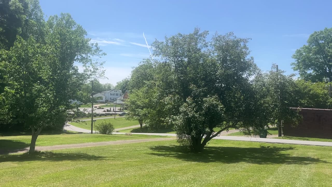 A spring walk around our old house where we live in Pilot Mountain