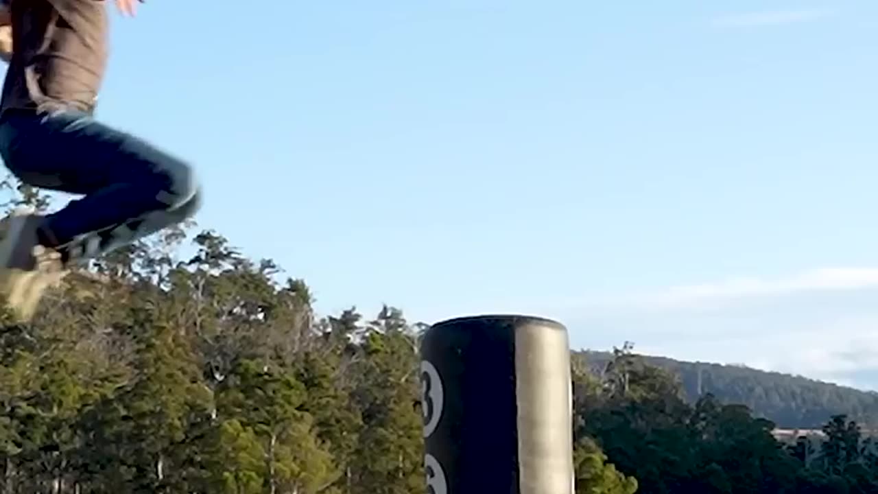 How different animals fight