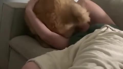 😂🐶 Dog Sits on Owner’s Face – Hilarious Moment! | FunFM