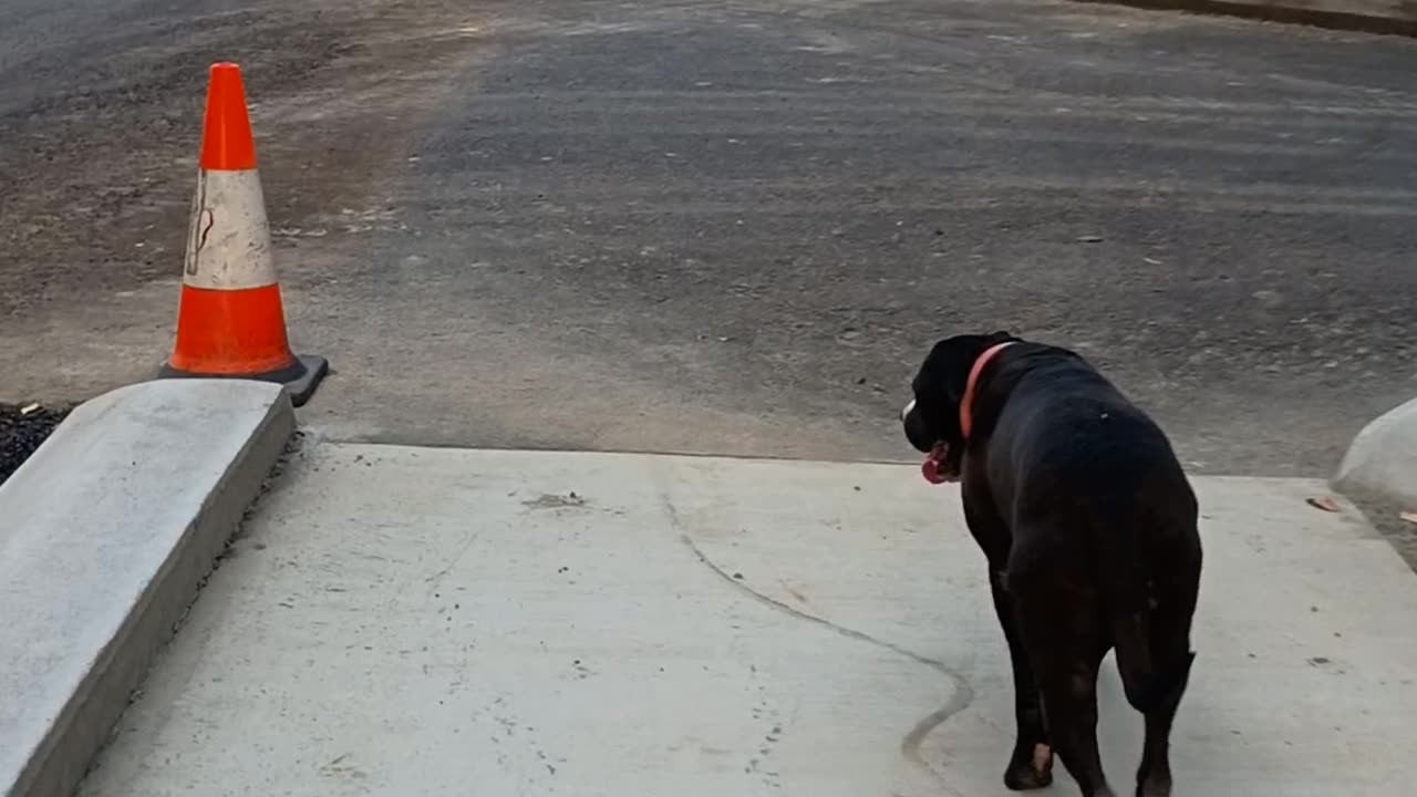 20.11.2025 Arara Street Footpath 2