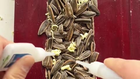 💡👀 A Simple Hack For Everyday Life! | LifeHacksDaily