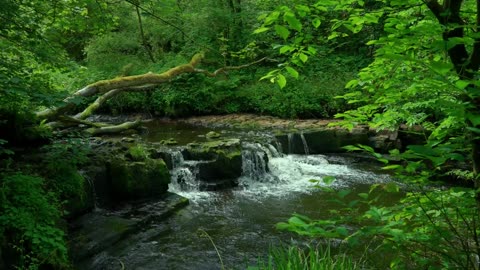 1 Hour Healing Meditation in Forest | Waterfall Sounds + Birdsong + 432Hz