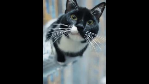 🫣 The Land Down Under 🫣