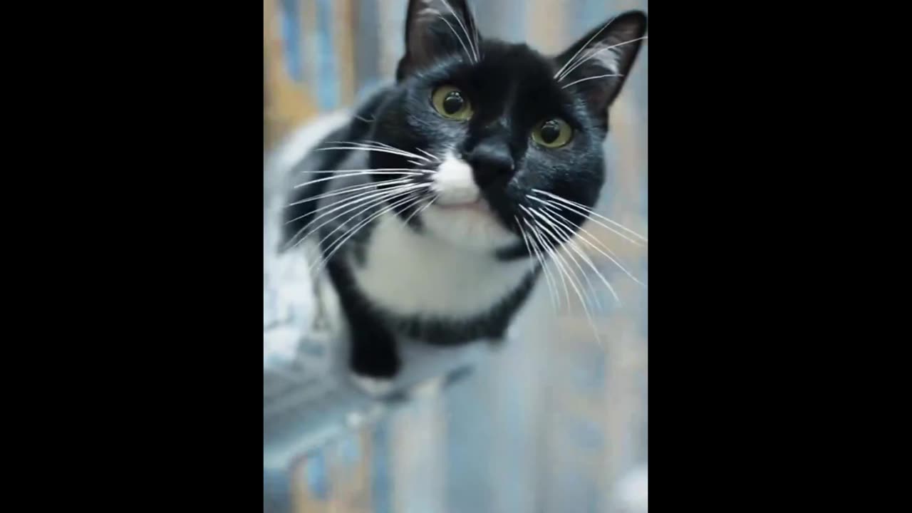 🫣 The Land Down Under 🫣