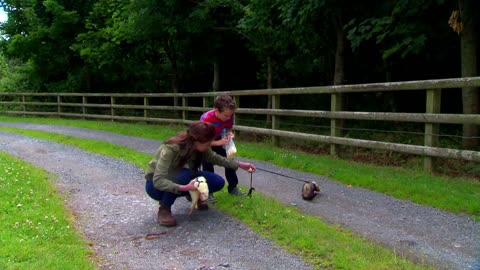 Mi Mascota y Yo - T01E08 - Hurones