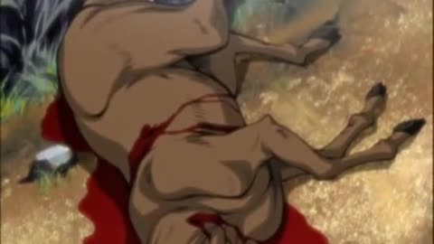 washizu flow