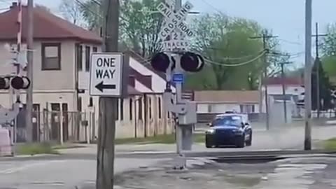 🤣🎯 Watch This Hilarious Attempt to Catch a Guy Fail! | FunFM