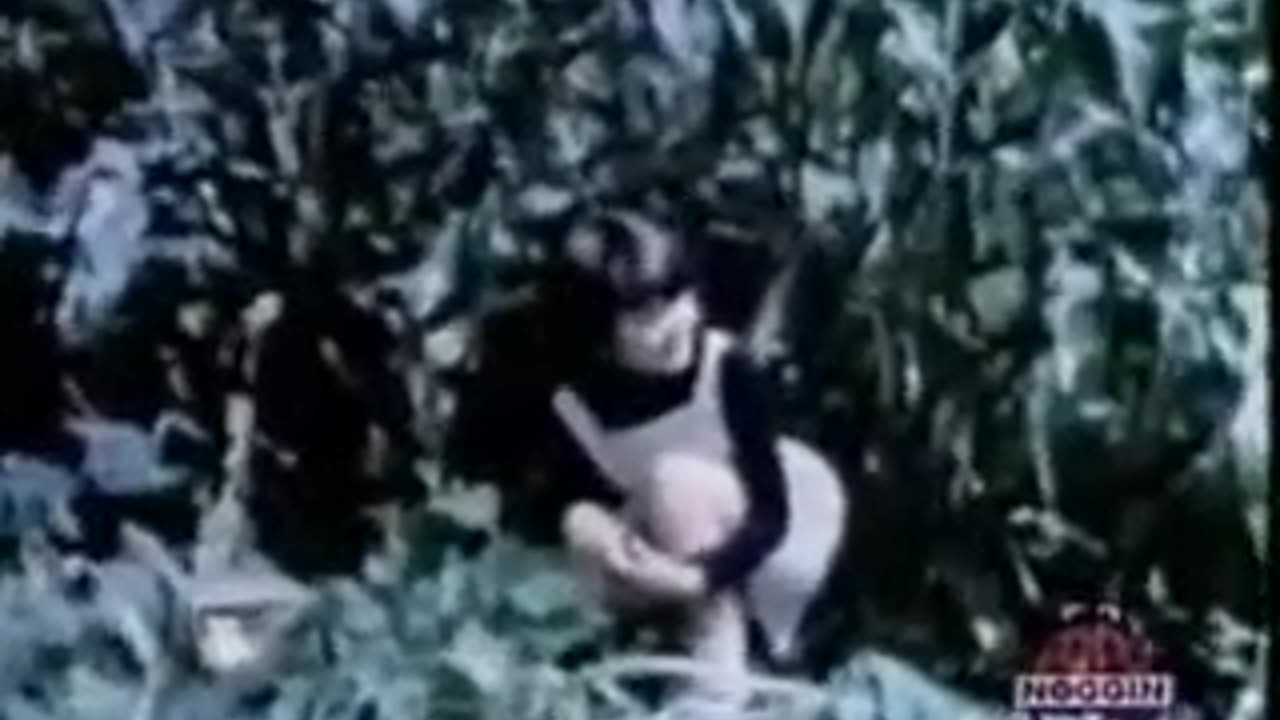 Sesame Street Episode 83