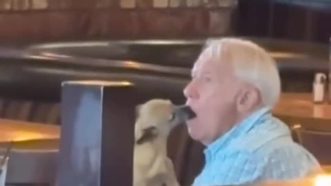 😂🔥 Not the dog, bro! You won't believe this hilarious moment | FunFM