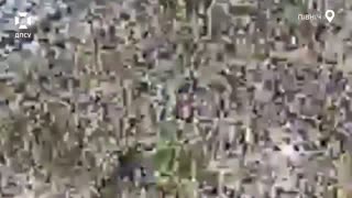🔥 UAV operators of the Shkval border unit in the north of the country destroyed enemy drones,