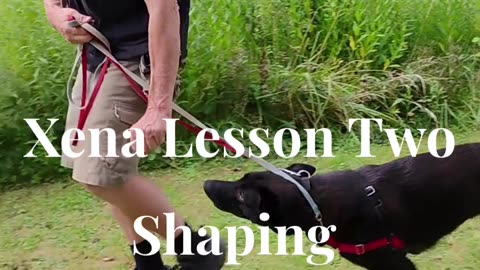 Xena Lesson Two Shaping the At-Ease Cue