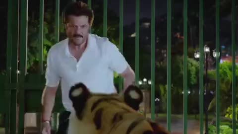 Funny videos