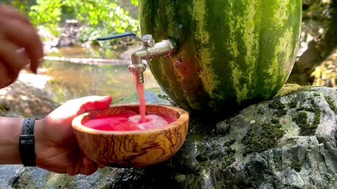 Wild Cooking while had Camping in Nature Scenic Places
