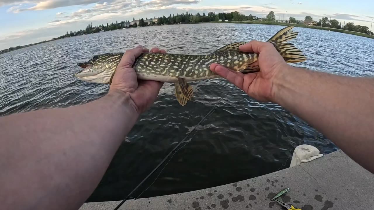 Fishing in chestermere