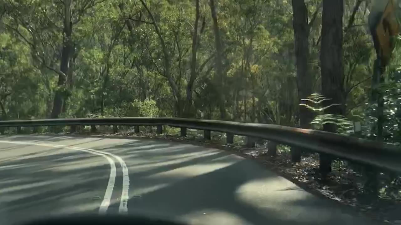 Drive again with Rascal 😎🤙🏻🇦🇺